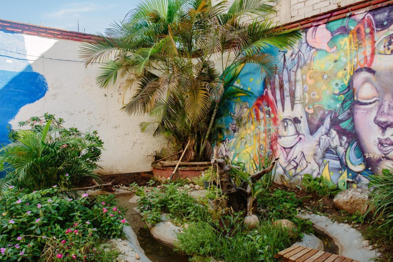 Hostel Residencia Artistica Puerto Escondido  Zewnętrze zdjęcie