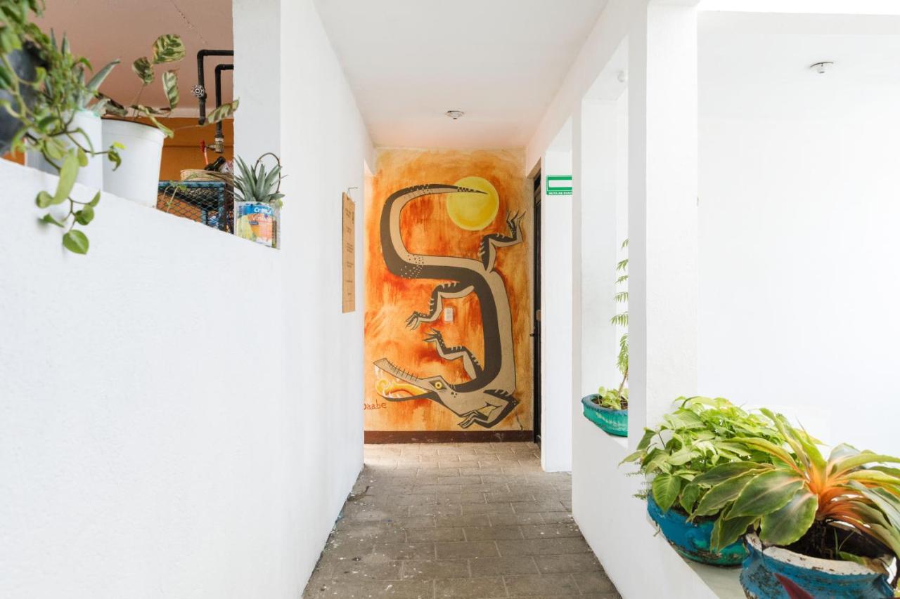 Hostel Residencia Artistica Puerto Escondido  Zewnętrze zdjęcie